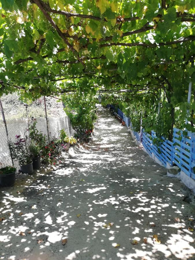Casa Mari Carmen Y Jose Διαμέρισμα Costa Adeje  Εξωτερικό φωτογραφία