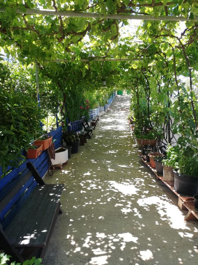 Casa Mari Carmen Y Jose Διαμέρισμα Costa Adeje  Εξωτερικό φωτογραφία