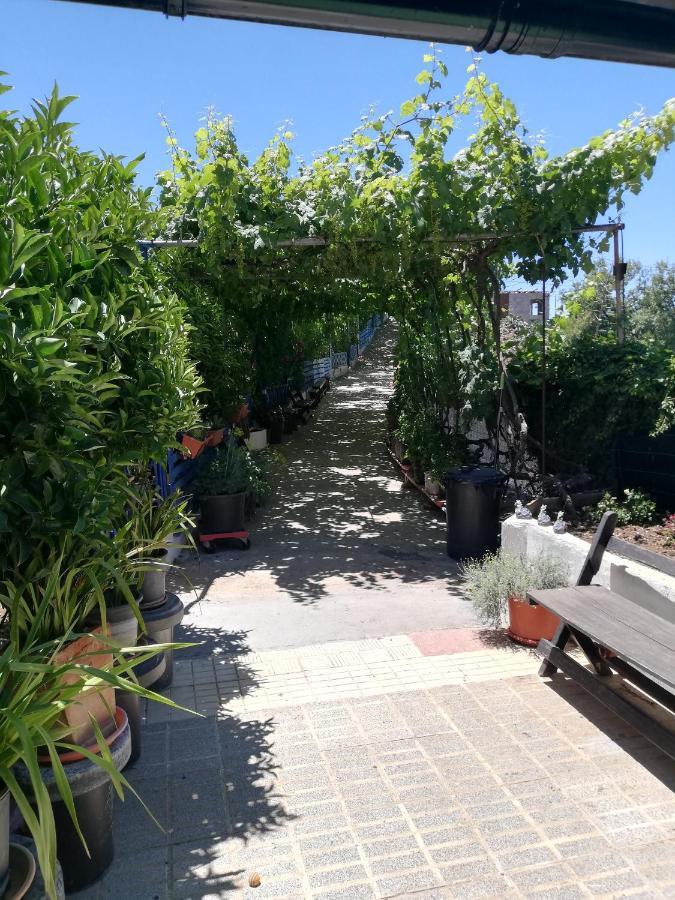 Casa Mari Carmen Y Jose Διαμέρισμα Costa Adeje  Εξωτερικό φωτογραφία